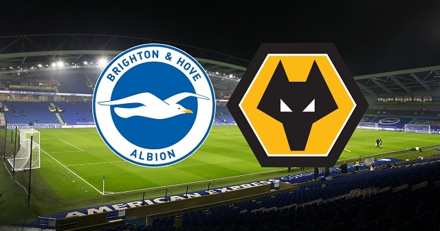 Soi kèo Wolves vs Brighton, 09/05/2021 - Ngoại Hạng Anh Soi keo Wolves vs Brighton 09 05 2021 Ngoai Hang Anh