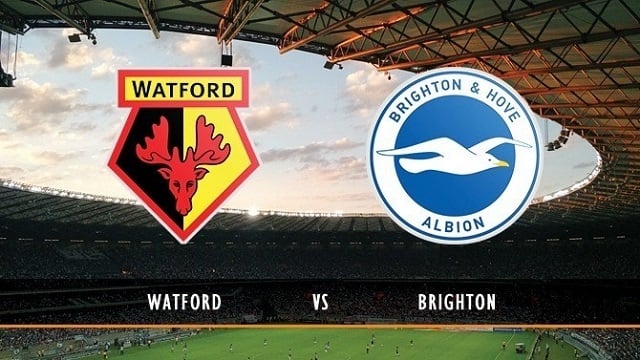 Soi kèo Brighton vs Watford, 21/08/2021 - Ngoại Hạng Anh Soi keo Brighton vs Watford 21 08 2021 Ngoai Hang Anh